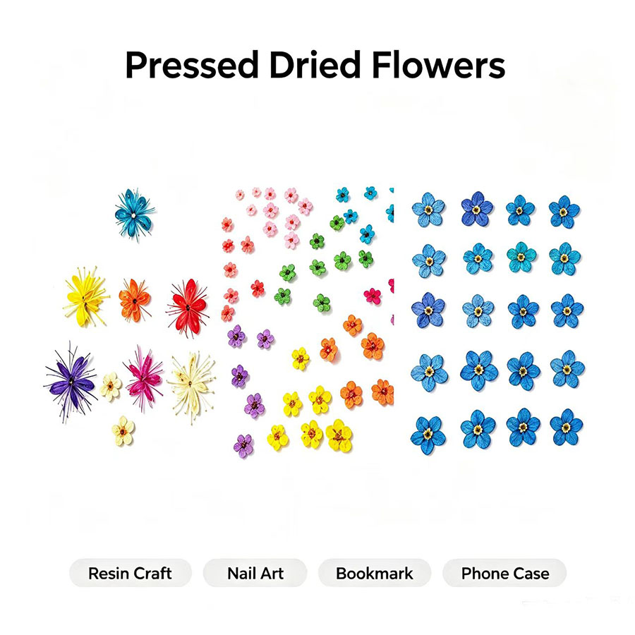 Resin Art Baby - 60pcs Mini Pressed Dried Flowers -