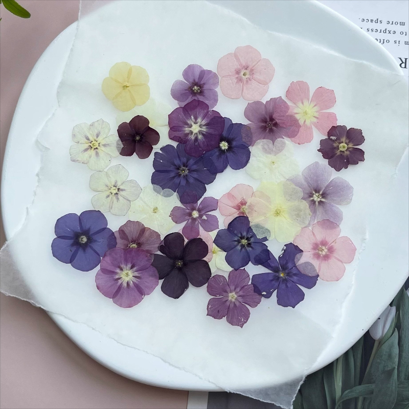 12pcs,Semi-Transparent Niche P - Resin Art Baby ulasan dan harga