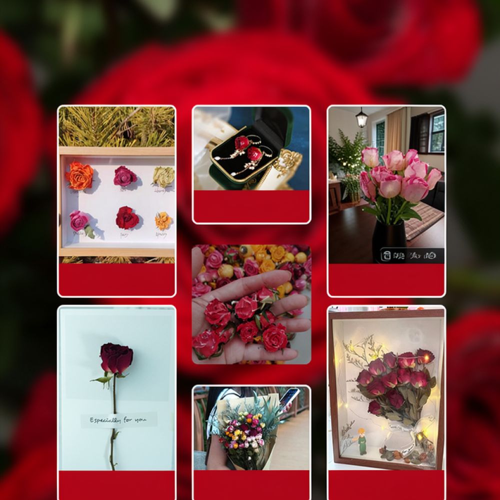 Natural Dried Rose Flower Bouq - Resin Art Rose ulasan dan harga